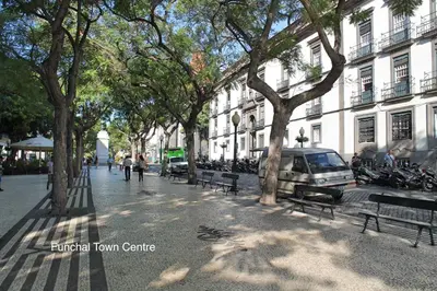 a street with trees and benches and a building at OurMadeira - Chill Garden Apartment in Funchal
