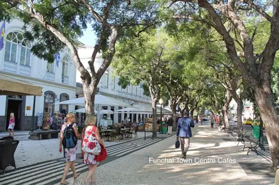 a group of people walking down a street with trees at OurMadeira - Chill Garden Apartment in Funchal