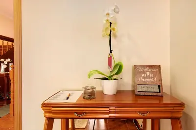 a table with a plant and a book and a flower at Vinháticos House in São Vicente