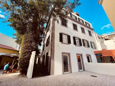 a white building with a tree in front of it at Living Funchal Executive in Funchal