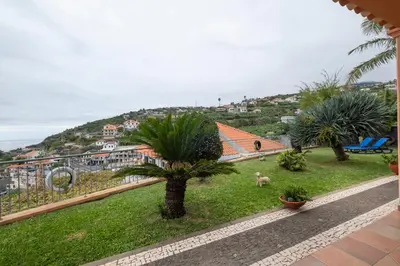 a view from the balcony of a house with a palm tree at Sara House in Ponta do Sol