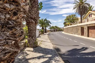 a palm tree on the side of a road at Formosa Beach in Porto Santo