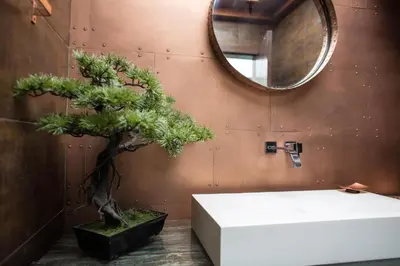 a bathroom with a tree next to a sink and a mirror at Madeira Loft I - City Center in Funchal