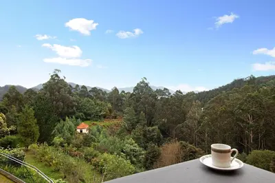 a cup of coffee sitting on top of a table at Casa Catarina in Santo da Serra