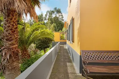 a yellow building with a bench and a palm tree at Casa Cristina in Santo da Serra