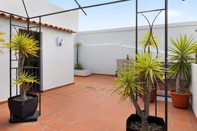 a room with potted plants in a building at Villa Garajau House in Caniço