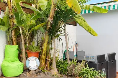 a garden with palm trees and a green chair at Villa Garajau House in Caniço