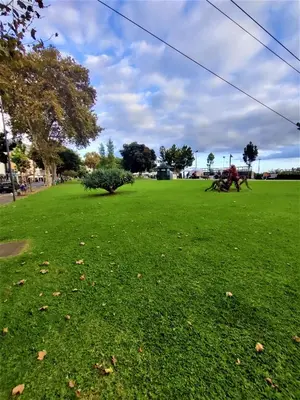 a large field of green grass with a person in it at Funchal Old Town Studios - Historic Atlantic View in Funchal