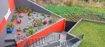 an overhead view of a garden with potted plants at Casa dos Avós Domingos & Matilde in Estreito da Calheta