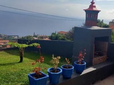 four blue pots with plants in them next to a fireplace at Casa dos Avós Domingos & Matilde in Estreito da Calheta