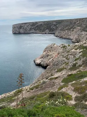 a view of a body of water on a hillside at ORANGE guest house in Sagres
