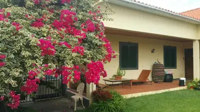 a tree with pink flowers in front of a house at House pc in Porto da Cruz