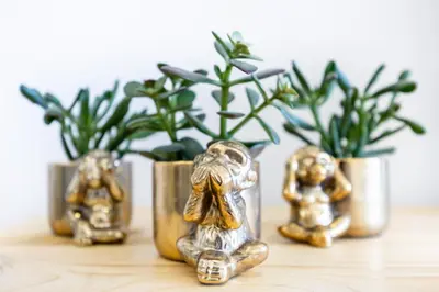 a group of gold figurines sitting on a table with plants at The Kuuyi Suite in Burgau