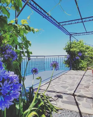 a view of the ocean from a garden with purple flowers at Ocean View Madeira 1 - Ponta do Sol in Canhas