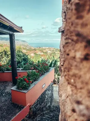 a view of flowers in a pot on a building at Ocean View Madeira 3 - Ponta do Sol in Canhas