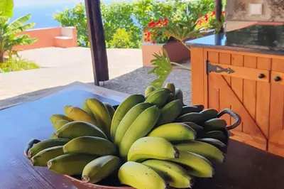 a bunch of bananas in a bowl on a table at Ocean View Madeira 3 - Ponta do Sol in Canhas