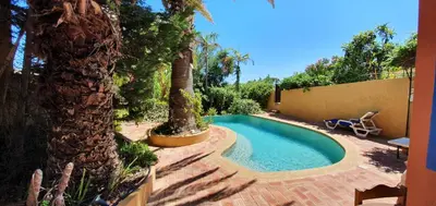 a swimming pool with a palm tree next to a house at The Secret Corner of Luz in Luz