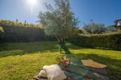 a blanket on the grass in a yard with a tree at Savoy Residence Casa Branca I by An Island Apart in Funchal