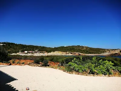 a sandy beach with plants on a beach at Tasi Ingrina in Vila do Bispo