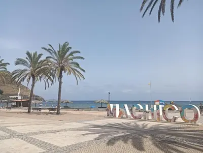 a sign on a beach with palm trees and the ocean at Machico Centre Comfort in Machico