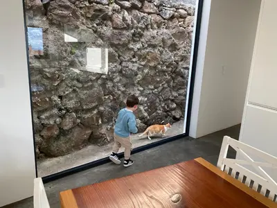 a boy walking a dog in front of a stone wall at CASA DA PITANGA in Jardim do Mar