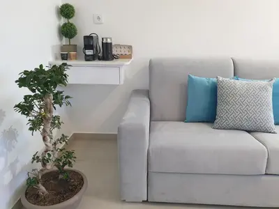 a couch in a living room with a potted plant at Sunset Avenue for couple w/ jacuzzi spa hot water in Paul do Mar