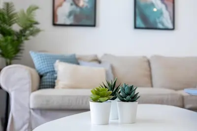 two potted plants sitting on a table in a living room at Villa Back Loop in Sagres