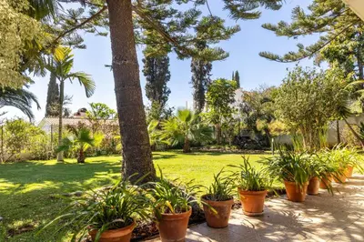 a park with palm trees and potted plants at Villa Echium T1 in Caniço