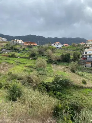 a field of grass with houses in the background at casa caminho da praia in Porto da Cruz