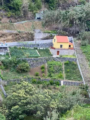 a garden with a yellow house on a hill at casa caminho da praia in Porto da Cruz