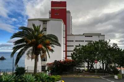 a building with a palm tree in front of the ocean at Lido Sunset, a Home in Madeira in Funchal