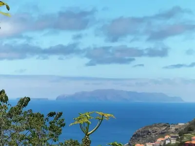 a tree with the ocean in the background at Sea Mountain House in Machico
