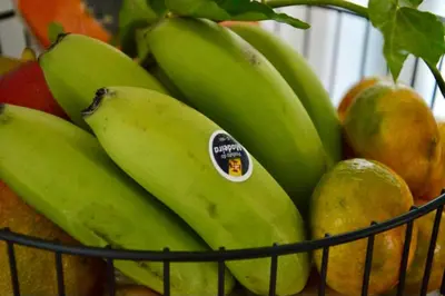 a basket of fruit with bananas and pears at Peaceful Madeira Palace in Funchal