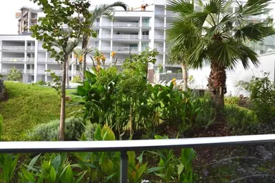 a view from a balcony of a building with palm trees at Peaceful Madeira Palace in Funchal