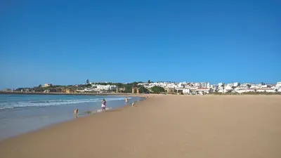 a person and two dogs walking on the beach at Villa Camena, private pool, sea view, residential area outside of the village Praia da Luz in Luz