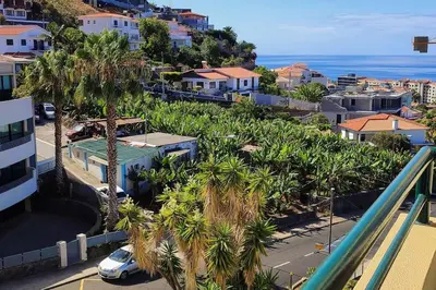 an aerial view of a city with palm trees and the ocean at Jardim Sol Holiday Apartment in Funchal