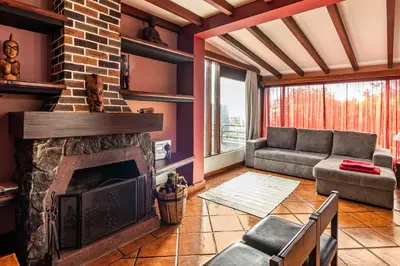 a living room with a fireplace and a couch at Cayenne House in Santa Cruz