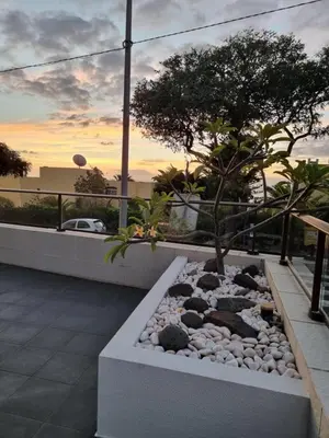 a garden with a tree and rocks in the middle at Casa Savannah Sun in Caniço