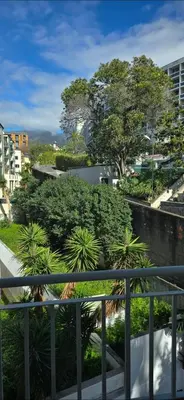 a view of a city with trees and bushes at Ocean Pearl Apartment W in Funchal
