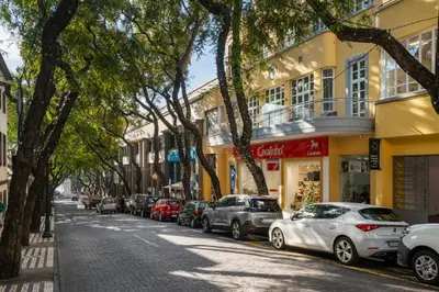 a street with cars parked on the side of the road at Art Deco Central Apartments, Funchal in Funchal