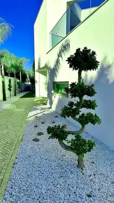 a small tree sitting in front of a building at Ocean view Architectural Modern Villa in Burgau