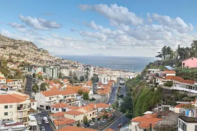 an aerial view of a city with the ocean at Funchal House in Funchal
