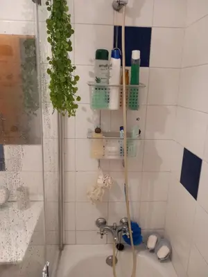 a bathroom with a bath tub with a shower at Cantinho da Maria in Funchal