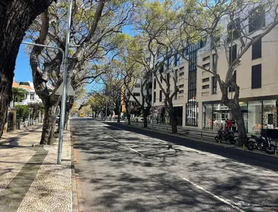 an empty street in a city with trees and buildings at Sea and Sun 4 You - Jardins da Imperatriz in Funchal