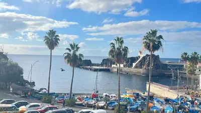 a group of cars parked next to the water with palm trees at Sea and Sun 4 You - Jardins da Imperatriz in Funchal