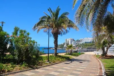 a walkway next to the beach with palm trees at Sol do Lido 2 in Funchal