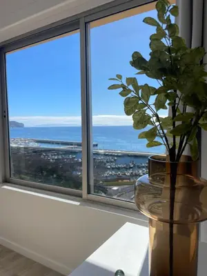 a vase with a plant on a table in front of a window at top floor avenida arriaga 802 in Funchal