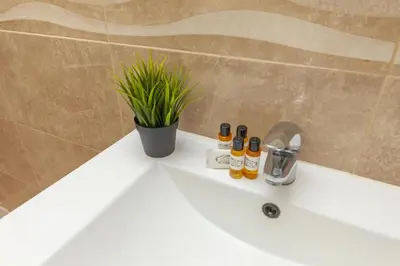 a bathroom sink with a plant and three bottles on it at B81 - Casa do Outeiro Westcoast Home in Vila do Bispo