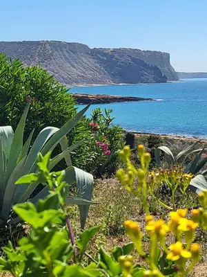 a view of the ocean with flowers in the foreground at Lighthouse Apartment in Luz