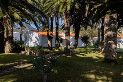 a yard with palm trees and a white building at Dune Beach CoLiving in Porto Santo